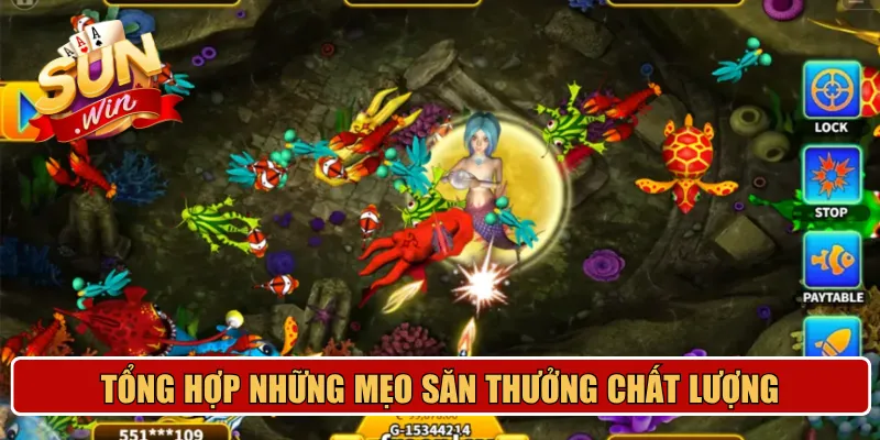 Tổng hợp những mẹo săn thưởng chất lượng